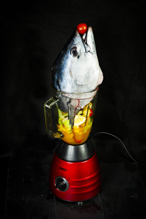 still life fish theme tuna in mixer